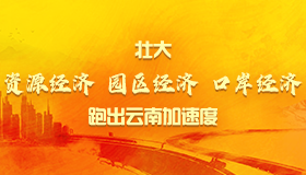 壮大资源经济、园区经济、口岸经济 跑出云南加速度
