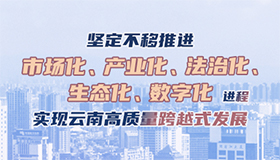 坚定不移推进市场化、产业化、法治化、生态化、数字化进程 实现云南高质量跨越式发展