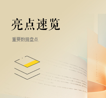 亮点