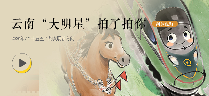 大明星